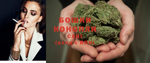 прущий лед Инсар