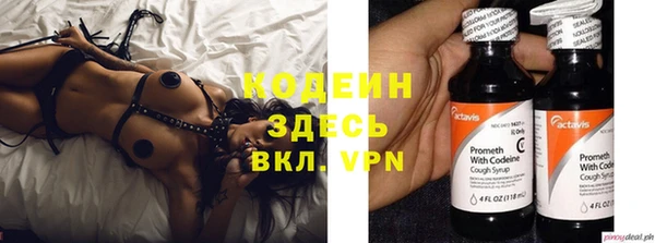 гашик Иннополис
