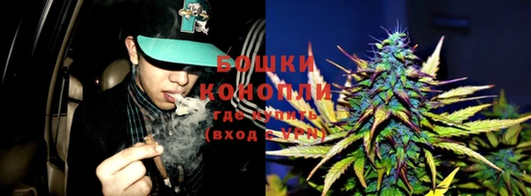 гашик Иннополис